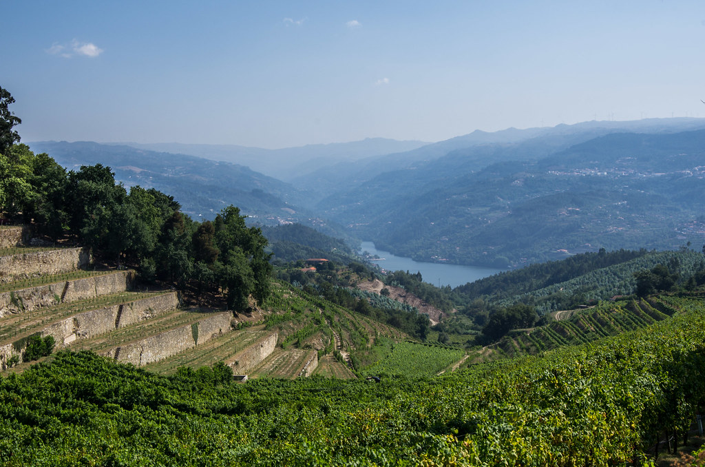 Douro Valley Has Tradition Of Winemaking Longer Than 2,000 Years