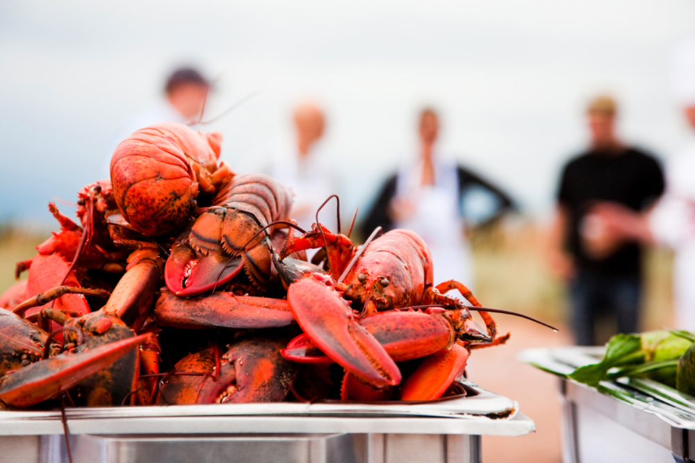 Cooked lobsters piled high on a plate at the September food festival in Prince Edward Island.