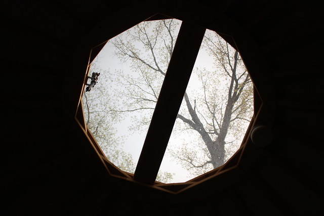 This is what you will see while laying in bed in Yurt #1 Pocahontas State Park,Va