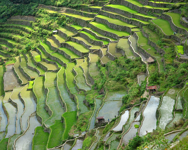 Terrazas de arroz de Batad en Filipinas