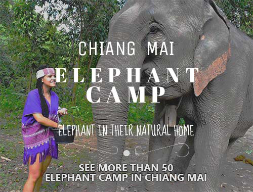 Elephant Camp Sidebar