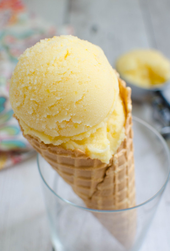 Homemade sherbet with 2025 ice cream maker