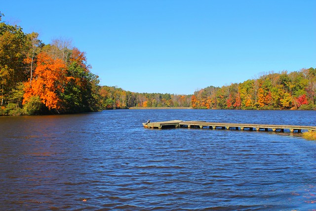 Bear Creek Lake State Park in Virginia dons her best for a fall fashion show