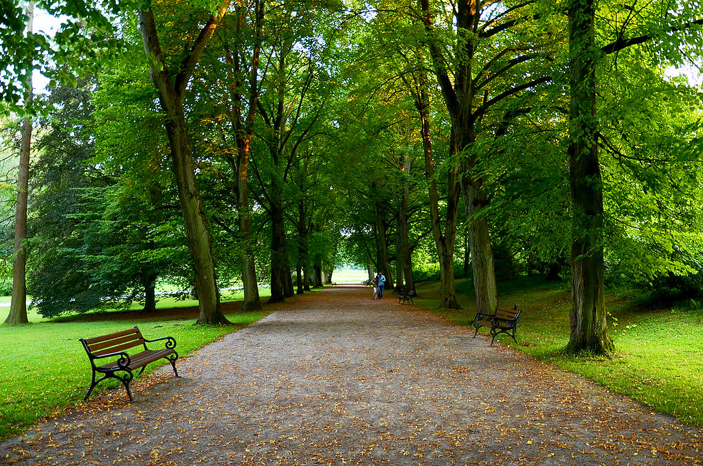 Botanischer Garten Rombergpark, Dortmund - Deutschland (Ja… | Flickr