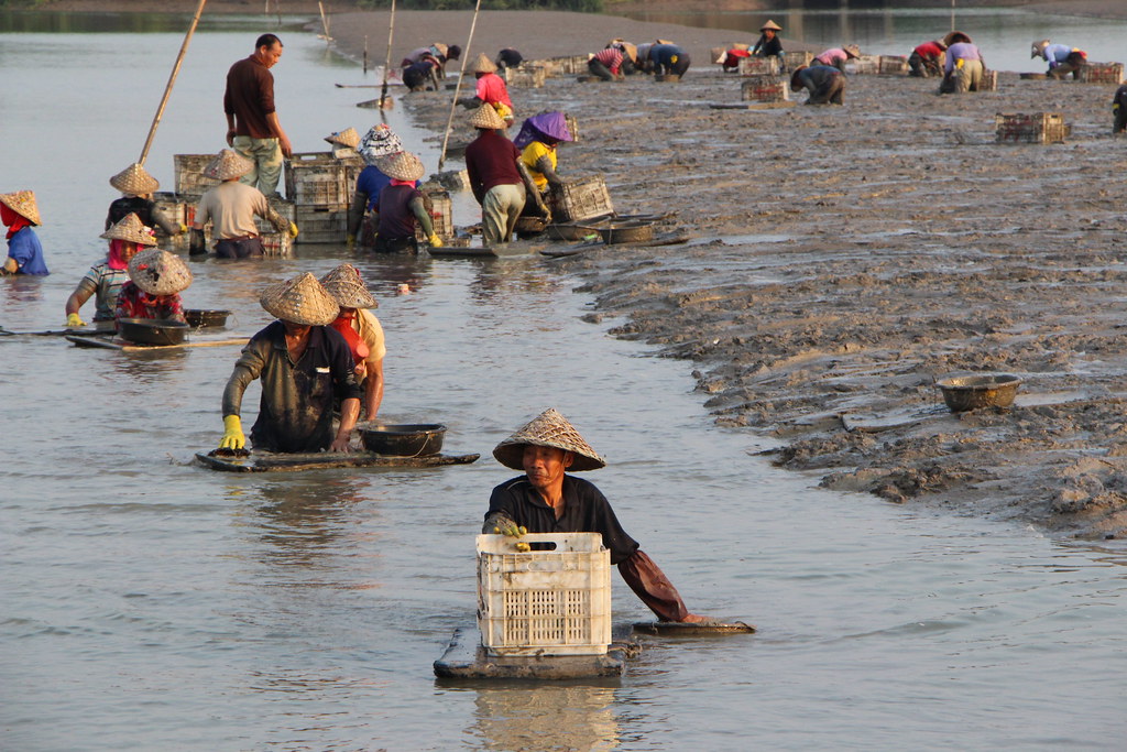 IMG_2265_漁民收工時  一面在水中划行前進  一面清理衣物