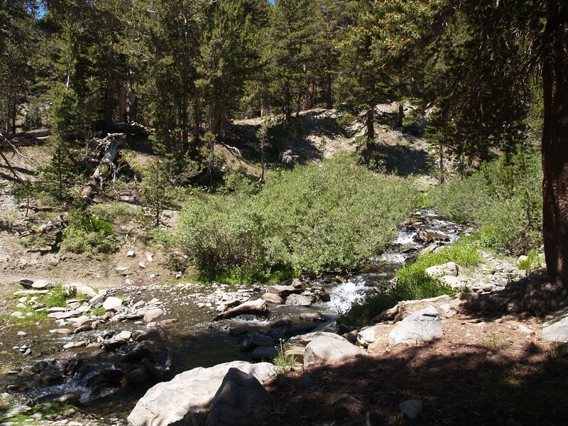 Where the Gem Pass Trail Crosses Crest Creek