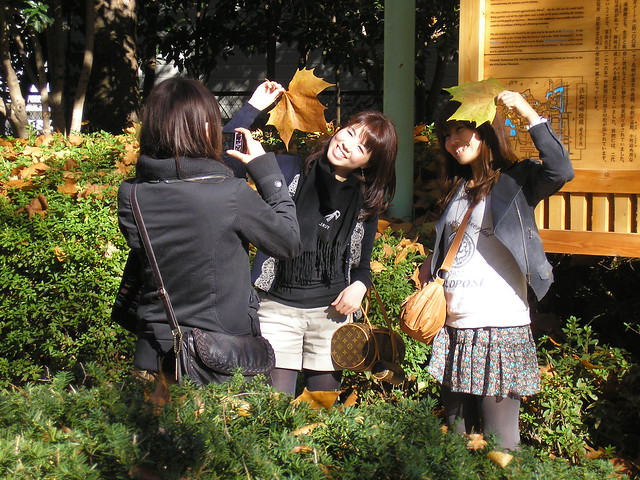 Hamamatsu Castle Park: Autumn leaves (23rd November 2010)