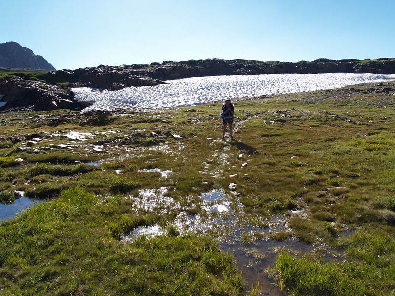 Soggy marshy trail conditions below a snowbank near Parker Pass