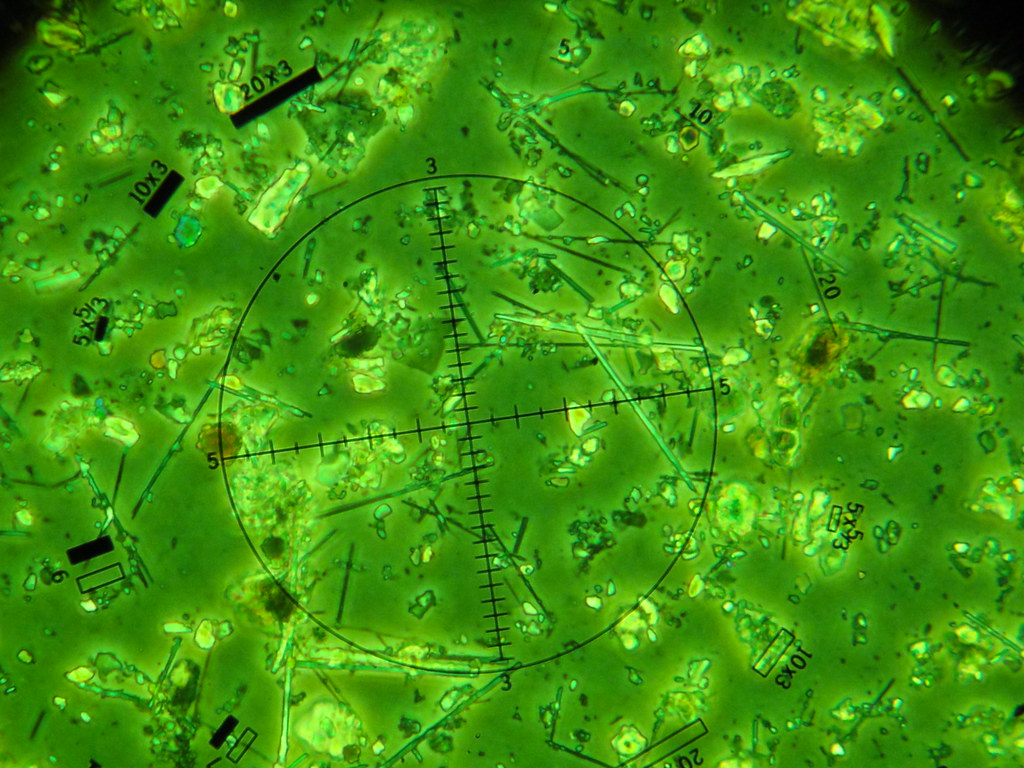 Amphibole Asbestos PCM Sample | Image showing microscopic am… | Flickr