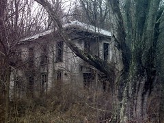 An old uninhabited house in the middle of the woods.