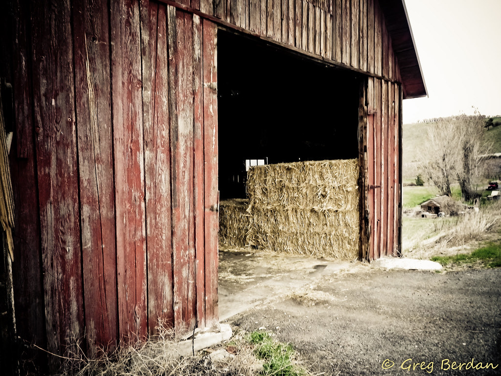 barn-door-is-open-greg-berdan-flickr