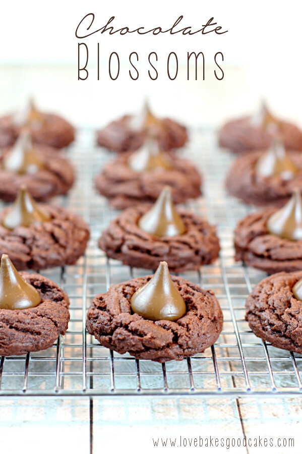 Chocolate Blossoms on a cooling rack.