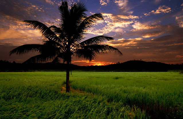 Download this Natural Beauty Kerala... picture