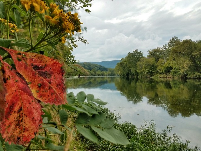 So much beauty all around at Shenandoah River State Park in Virginia