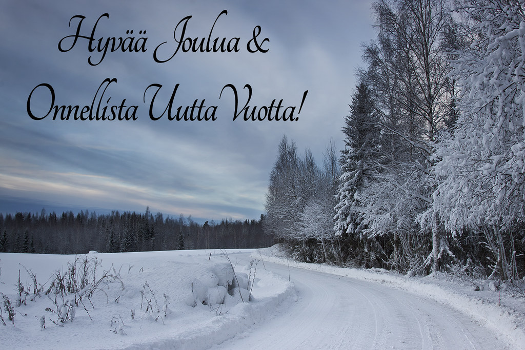 Hyvää Joulua!  Happy Christmas and a very Merry New Year 
