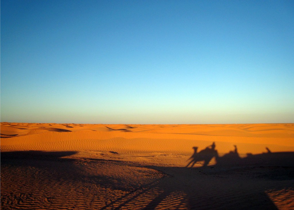 Desierto de Túnez 