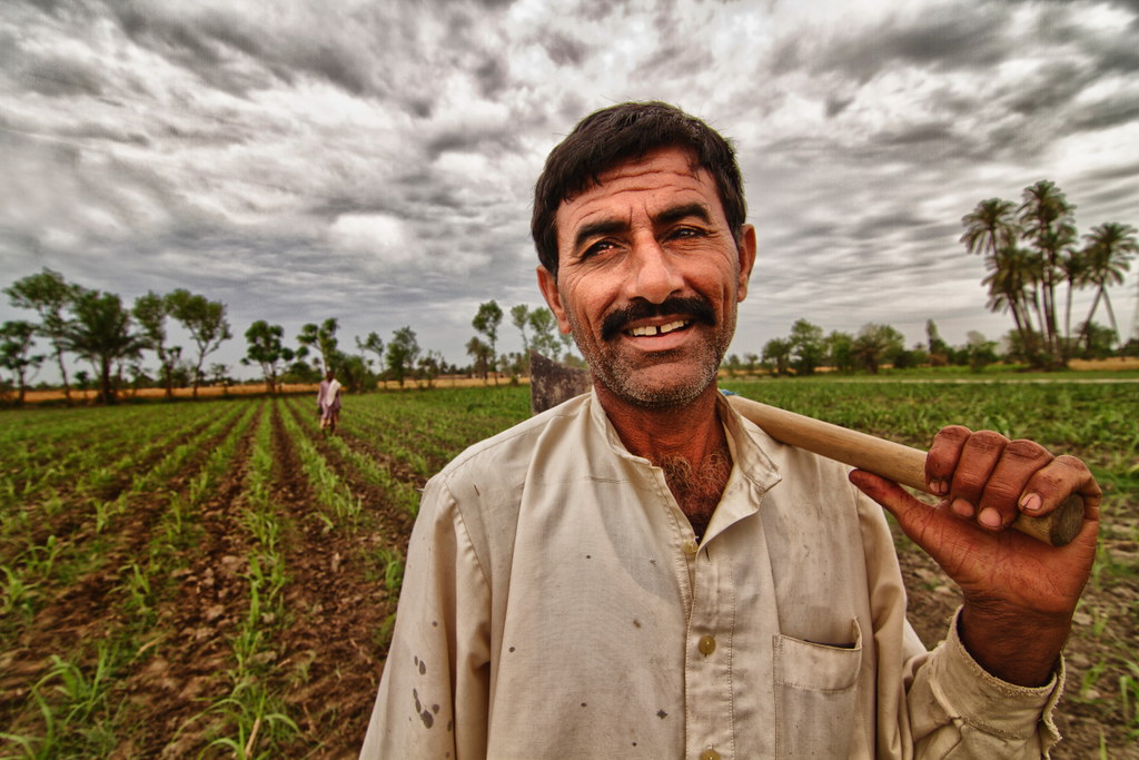 Short essay on Pakistani Farmer