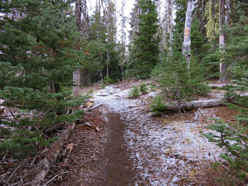 Snow along the Black Crater Trail