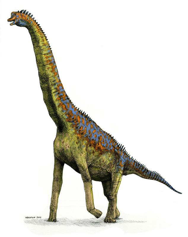 Giraffatitan Brancai In Color | Aka Brachiosaurus. Late Jura… | Flickr