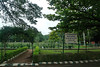 Bangalore - Lalbagh Botanical Garden rose garden