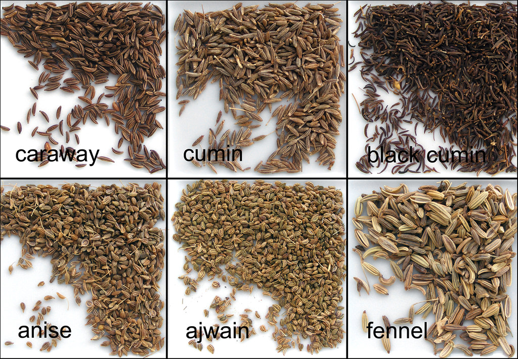 Caraway, cumin, aniseed, ajwain and fennel | Thought it woul… | Flickr
