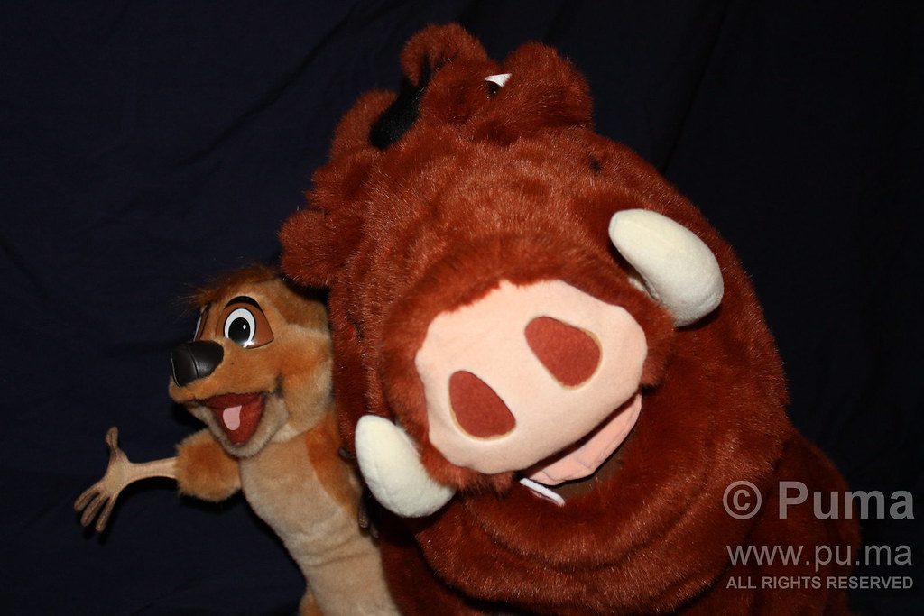 timon and pumbaa soft toy