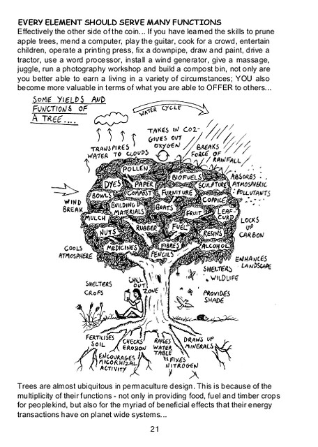 The Top Ten Permaculture Books Permaculture Association