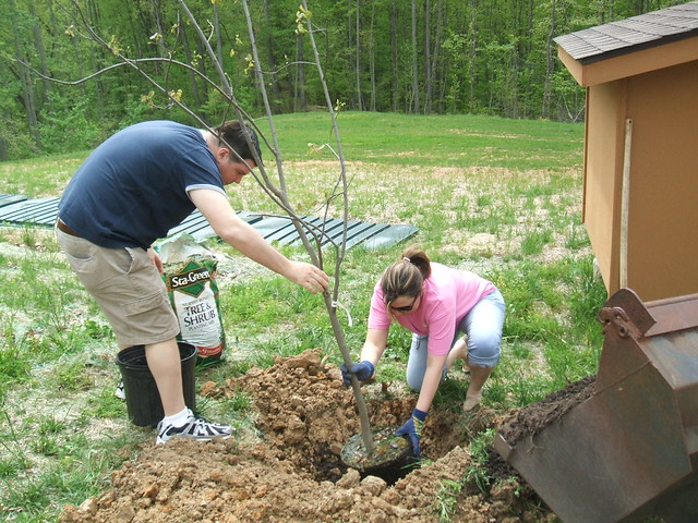 BB&T Employees Volunteer at Natural Tunnel State Park beautifying the cabin areas