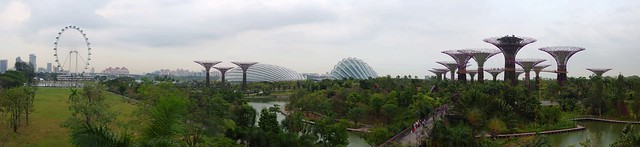 濱海灣花園2012年落成，興建於填海土地上，期促進新加坡由花園城市進化為「花園中的城市」。攝影：gibbyli（CC BY-NC-ND 2.0）。