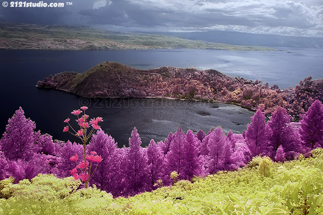 Download this Tanjung Unta Infrared picture