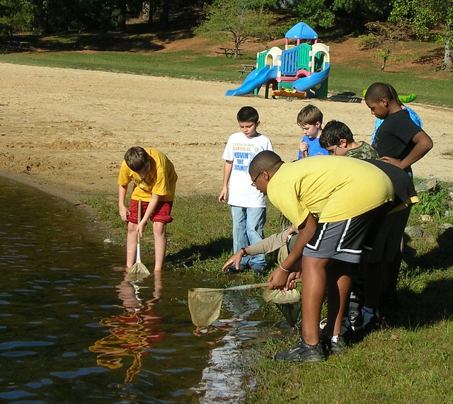 Kids enjoying a dip netting program at the park - at Bear Creek Lake State Park, Virginia 
