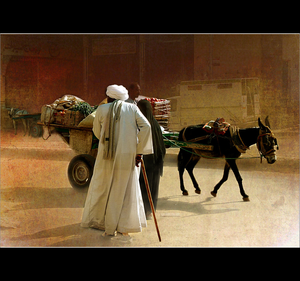 L'Âme d'un âne | Egyptians first domesticated donkeys around… | Flickr