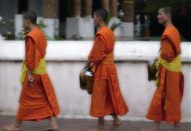 Monks Collecting Alms In Luang Prabang