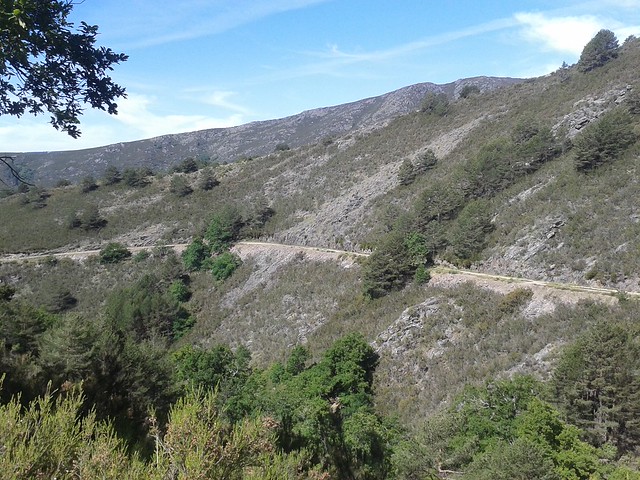 Pista forestal en la Ruta da Ortiga - O Invernadeiro