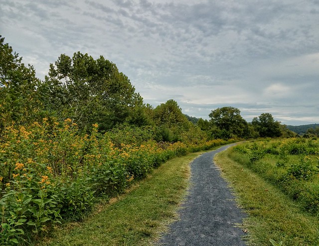 Country lanes like this one lead us along the river's edge and into the meadows at Shenandoah River State Park, Virginia
