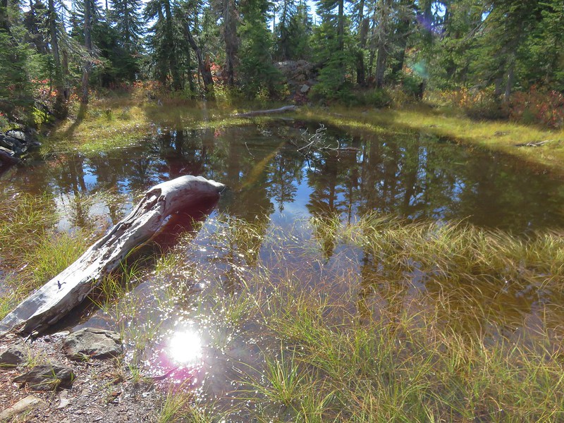Pond near the Tenas Lakes