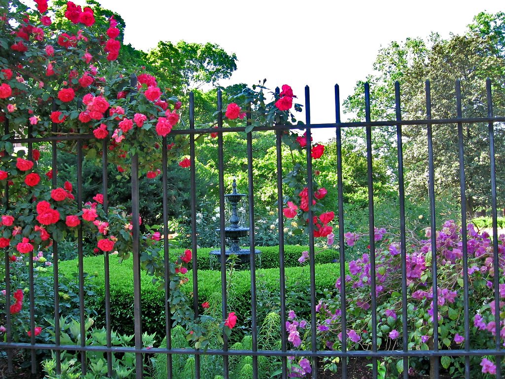 The Executive Mansion garden in full bloom.