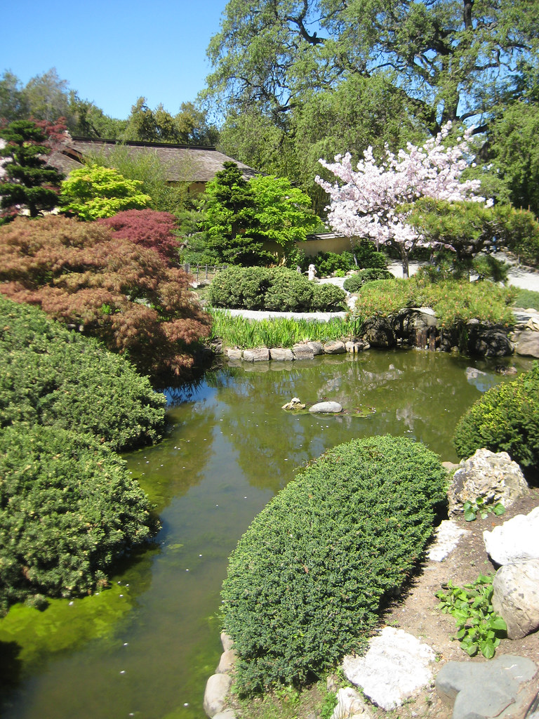 Hakone, Japanese Garden, Saratoga, California | bk1bennett | Flickr