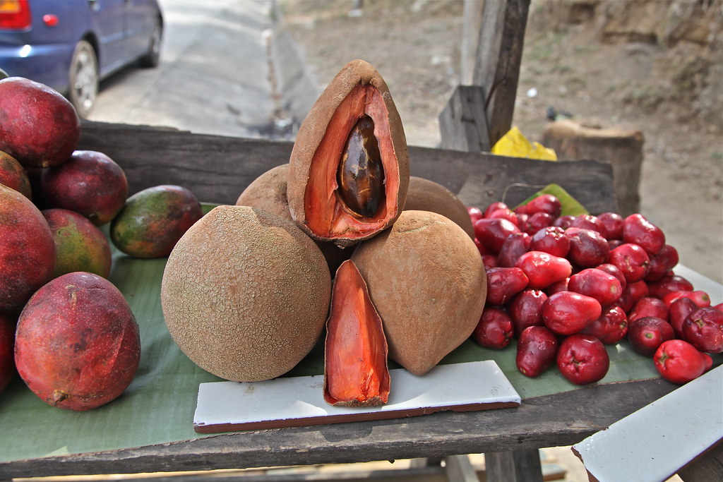 Carao Fruta De El Salvador - Cañandonga - EcuRed Jeremy Smith.