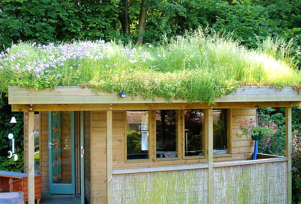 Green Roofs for your Home or Garden Shed workshop 