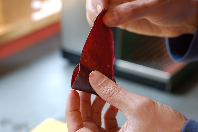 Unrolling the cherry fruit leather by Eve Fox, Garden of Eating blog, copyright 2012