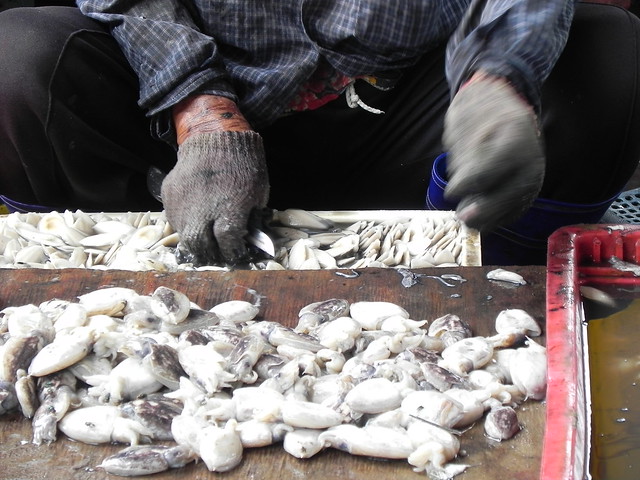 Elimination of child labour at the Sapan Pla Fish Market, Samut Prakan 