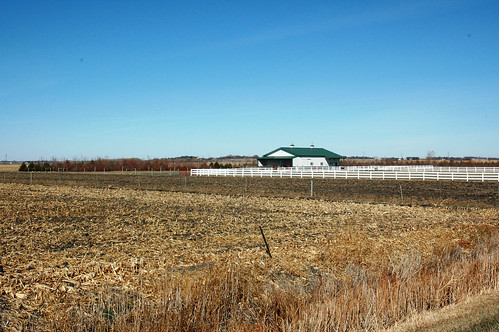 The shelterbelt on Ken Mouw’s farm in Elk Point, SD protects his fields, livestock and facilities from harsh wintry weather. 