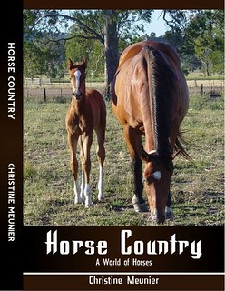 Horse Country - A World of Horses by Christine Meunier