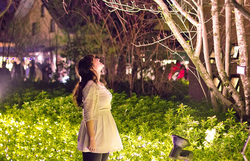 nabano no sato nagoya led light show light tunnel flower botanical garden laila blog tapeparade
