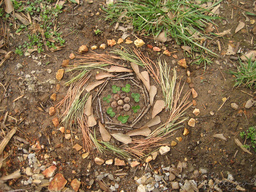 another nature mandala | Aimee Ray | Flickr