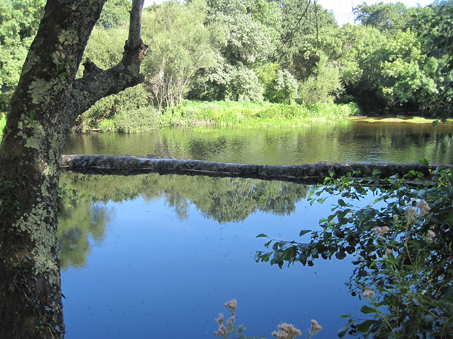 Río Tambre de la ruta del Tambre en Sigüeiro