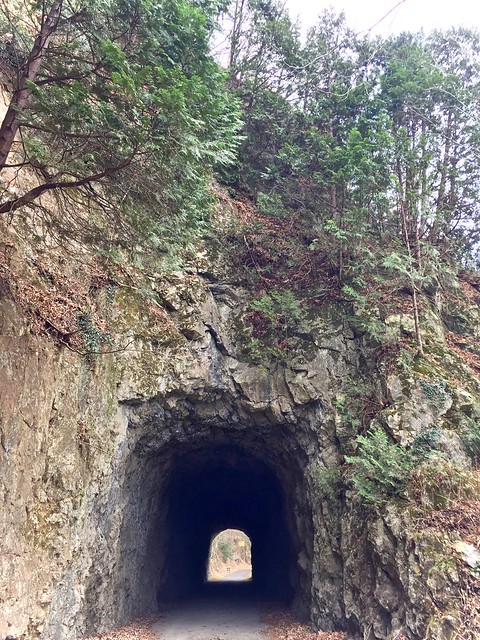 Rock Tunnels and bridges scattered throughout the trail give unique glimpses into its railroad history at New River Trail State Park, Virginia