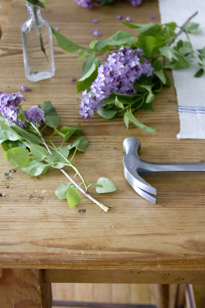 keeping lilacs alive | reading my tea leaves