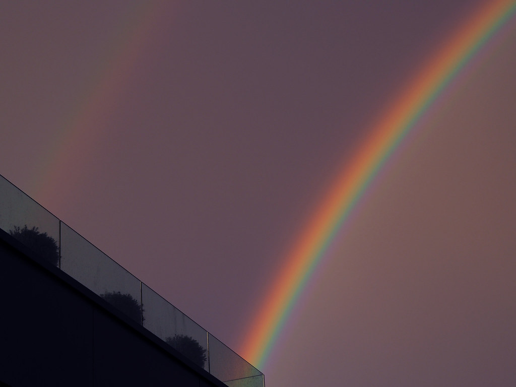 wisteria-rainbow